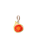 Fig