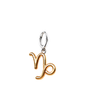 Capricorn